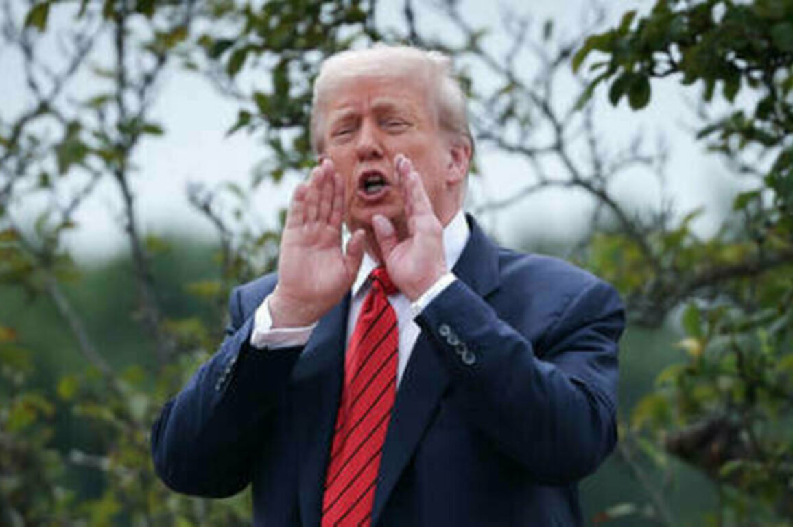Trump mulls territory swap between Russia and Ukraine