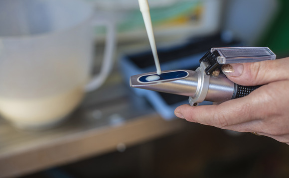 Colostrum management: Latest research on handling and storage for dairy farmers