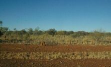 Alliance teams up at Borroloola