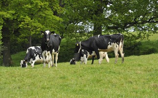 Dairy farmers fear financial losses