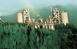 Emerging economies keep cement makers afloat