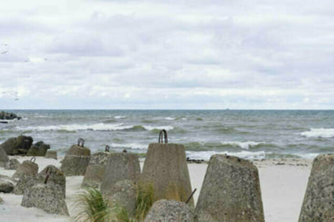 Baltic Sea's WW2 chemical legacy demands Russia-NATO cooperation - expert