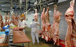 UK's 'fragile' food system exposed by £5bn influx of meat imports, report reveals