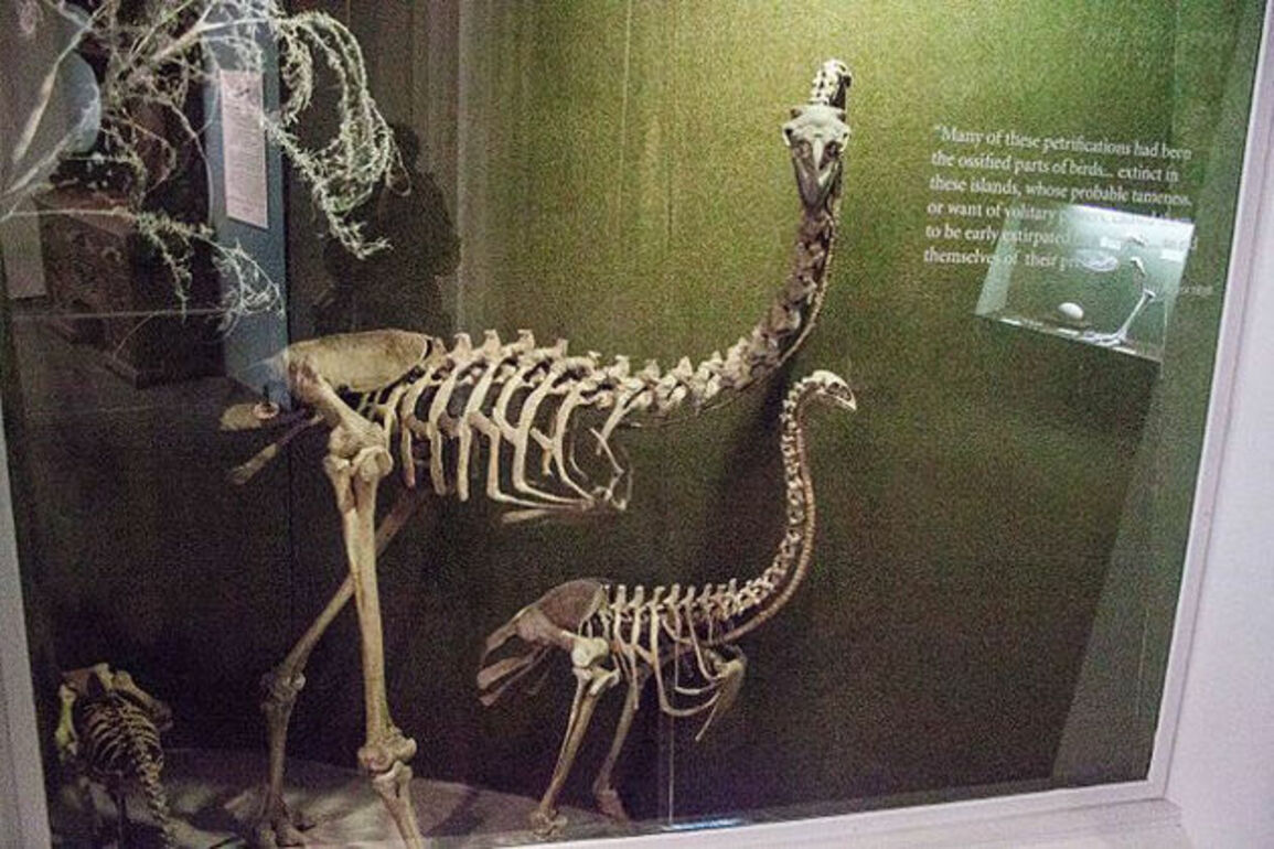 Filmmaker partners with Colossal Biosciences to recreate lost species