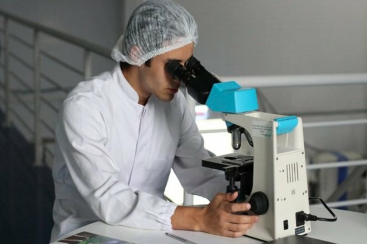 New drug delays progression of deadly brain cancer