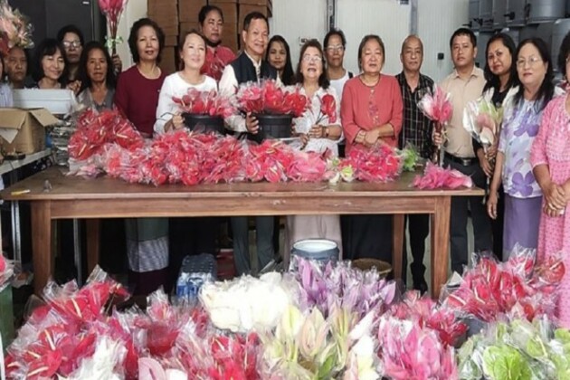 Anthurium flowers from Mizoram go beyond borders, exported first time to Singapore