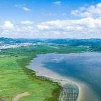 Chinese courts report progress in supporting environmental governance