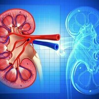Chronic kidney disease often goes undiagnosed, but early detection can prevent severe outcomes
