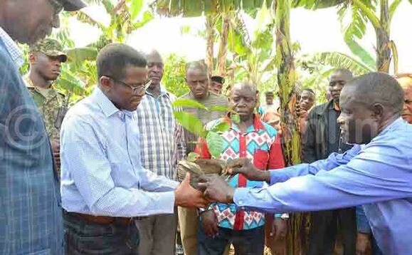 Katikkiro ng'atongoza sizoni y'emmwaanyi ey'okubiri mu mwaka guno Katikkiro ng'atongoza sizoni y'emmwaanyi ey'okubiri mu mwaka guno