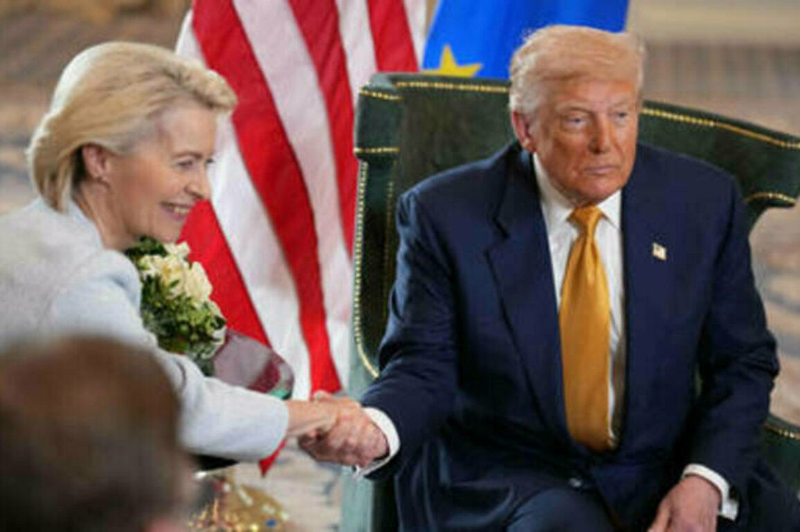 EU's $750bn energy pledge to US is 'fantasy' - Politico