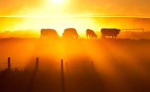 Driest spring for a century sparks fodder and crop warnings