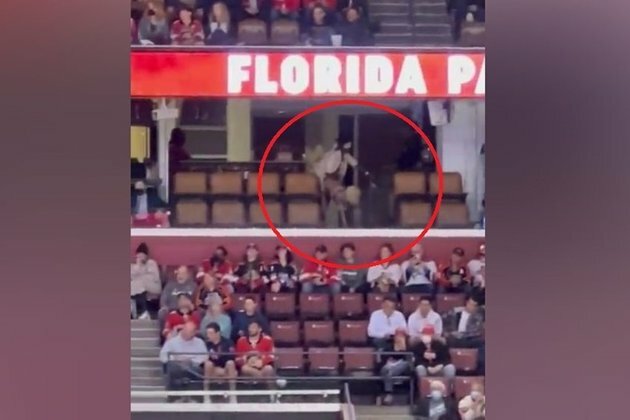Rapper accused of romping in stands at NHL game