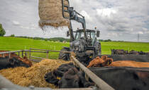 Best all-round performers: 12 tractors worth considering in the 120-180hp segment