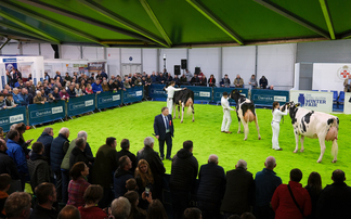 Royal Ulster Winter Fair to go ahead despite ongoing bluetongue investigations