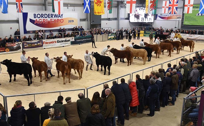 Judges announced for Agri Expo pedigree calf shows