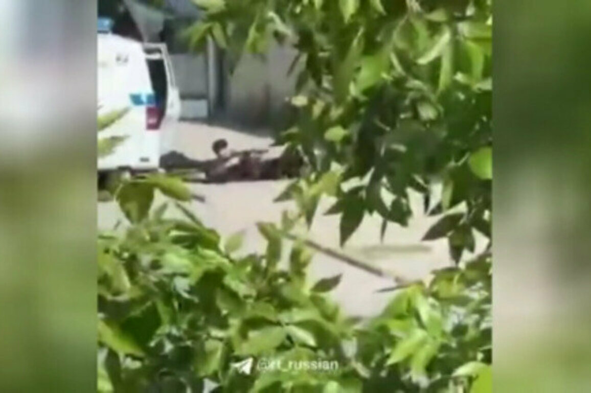 Three officers dead in attack on police patrol in southern Russia (VIDEO)