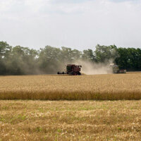 Fuel Price Surge Raises Wheat Production Costs in Bulgaria
