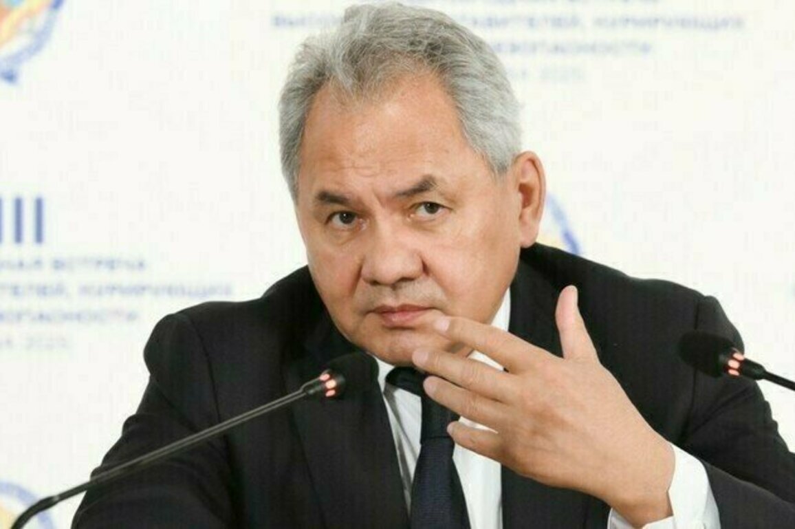 Russian security chief reacts to German missile claims