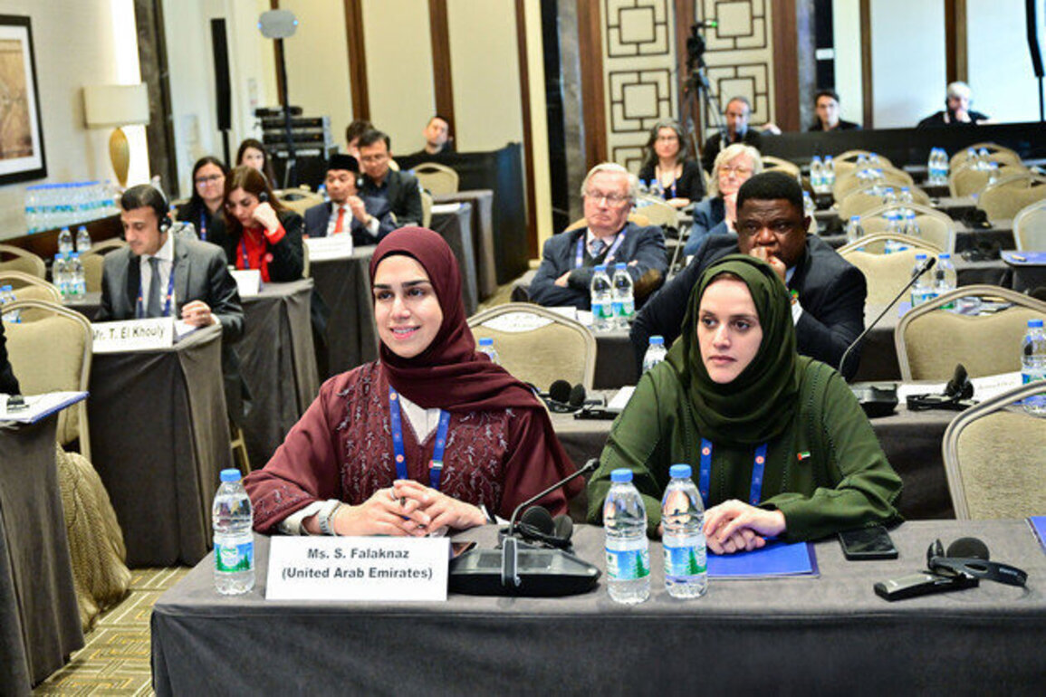 FNC participates in Committee on Middle East Questions meeting in Istanbul