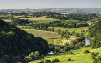Law Commission to conduct a review into agricultural tenancy legislation 