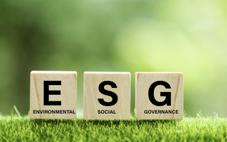 'Ambiguity and individualism': Advisers on rising investor demand for ESG