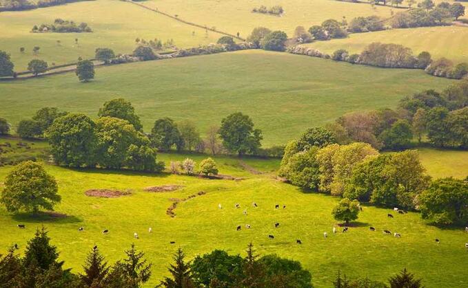 Scottish Countryside Alliance director Jake Swindells: "We have seen enough urban-centric policies. We want to ensure future legislation is rural-proofed for the next generation."