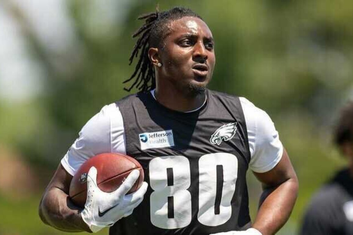Eagles sign WR Danny Gray to practice squad, release G Sua Opeta