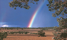 Concerns over rain impact on WA harvest