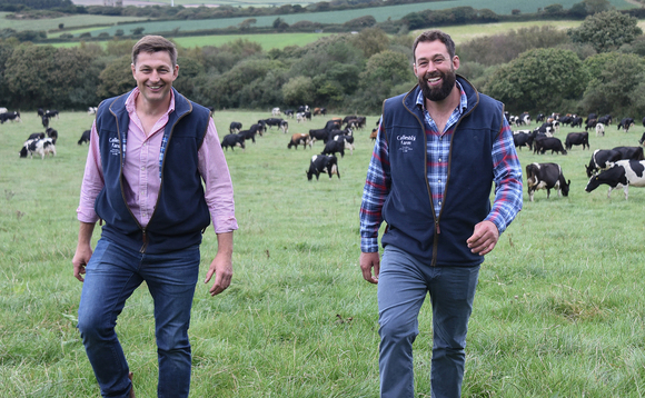 How one Cornish dairy farm is keeping sight of its heritage 
