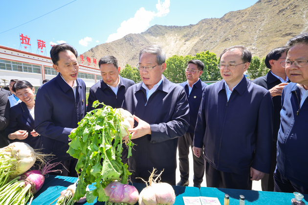 CHINA-XIZANG-LI QIANG-INSPECTION (CN)