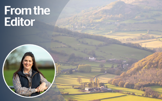 From the editor: A bovine TB roadmap that must deliver for farmers
