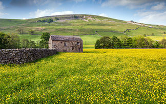 Environment Plan leaves unanswered questions about food production says NFU 