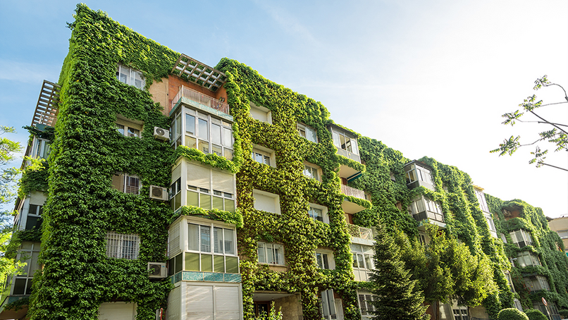 Elemental London and RICS announce partnership