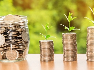 Elston launches range of sustainable model portfolios based entirely on SDR funds