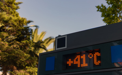  'No sign of respite': WMO warns global temperatures to keep rising over next five years 