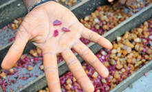 Almost a handful: rubies from Gemfields' Montepuez mine in Mozambique