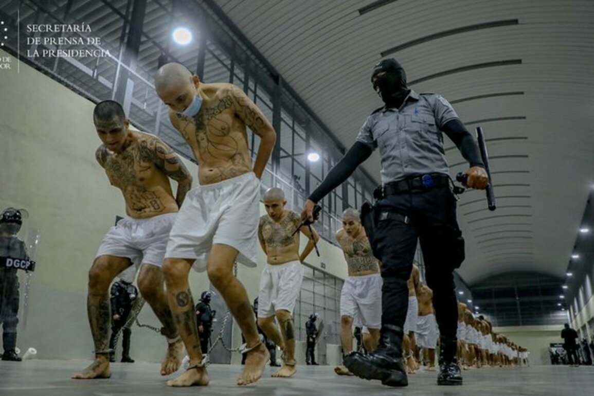 Central American country offers to house US prisoners