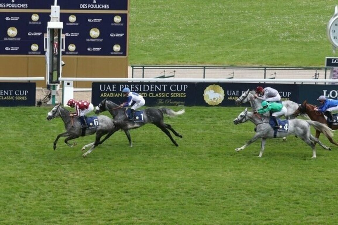 UAE President's Cup set for Paris Longchamp tomorrow