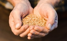 FMO invests $24m in Suminter India Organics
