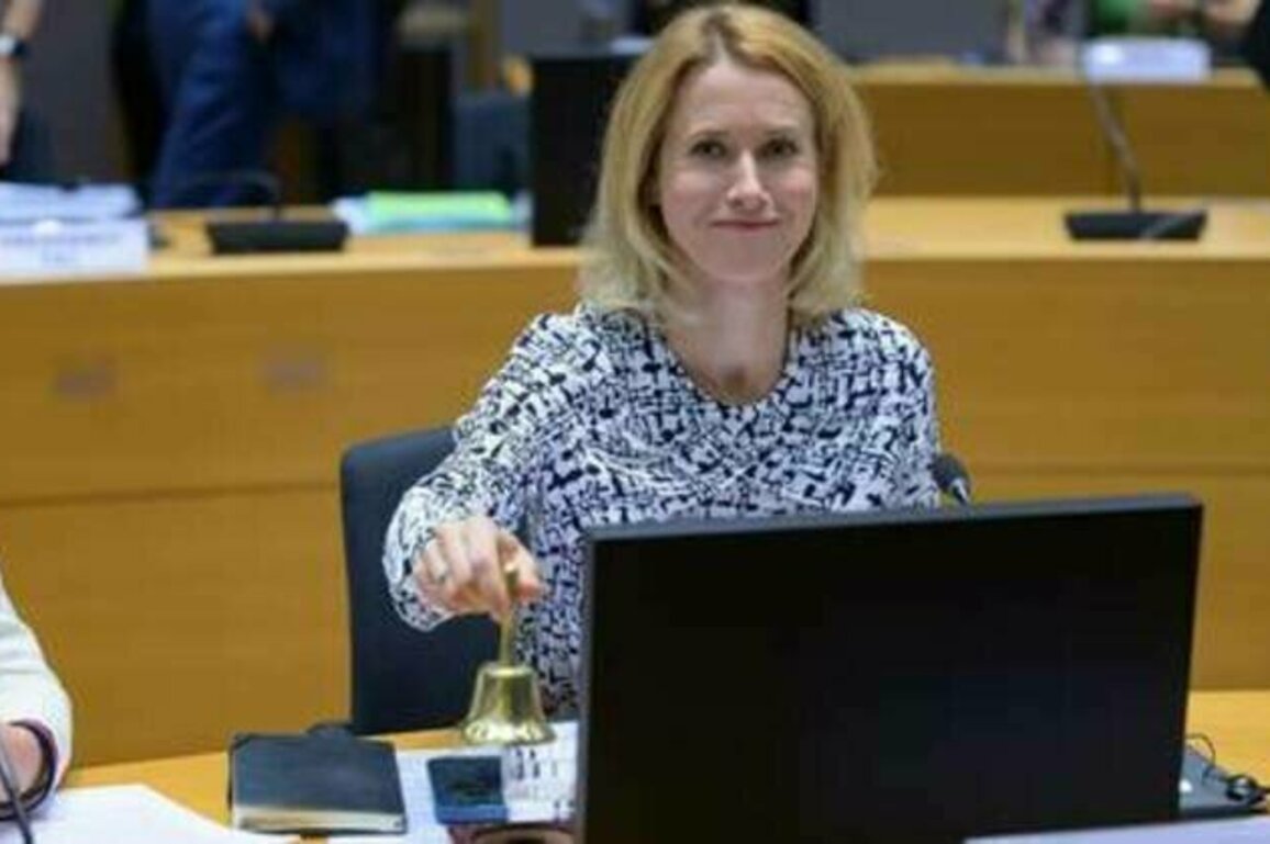 EU's Kallas 'critically uneducated' - Moscow