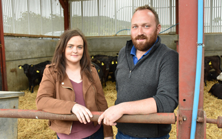 Dairy calf to beef system adds value to Northern Irish farm