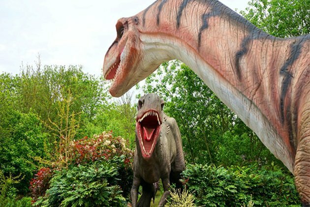 Discovery of new dinosaur teeth reveal what they didn't eat