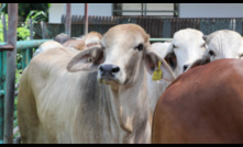  Australia remains LSD-free following detection of the disease in Australian cattle exported to Indonesia. 