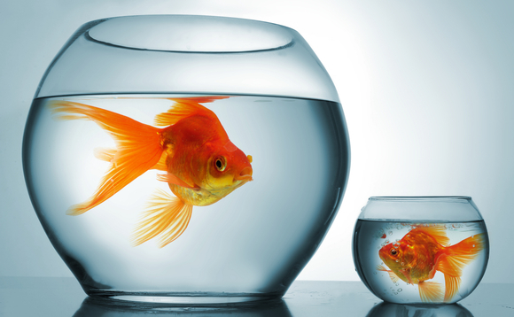 Asian fund-of-funds: In the balance