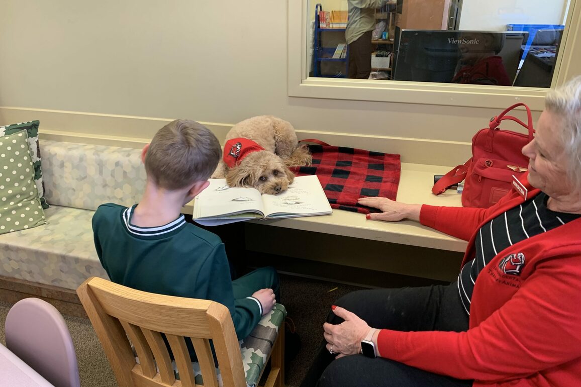 Pippi, a mini golden doodle, helps local children R.E.A.D. - Park Record