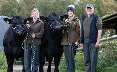 Move to pedigree beef pays off for Scottish farming family   