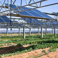 China's fresh commitment hailed as major contribution to global climate action