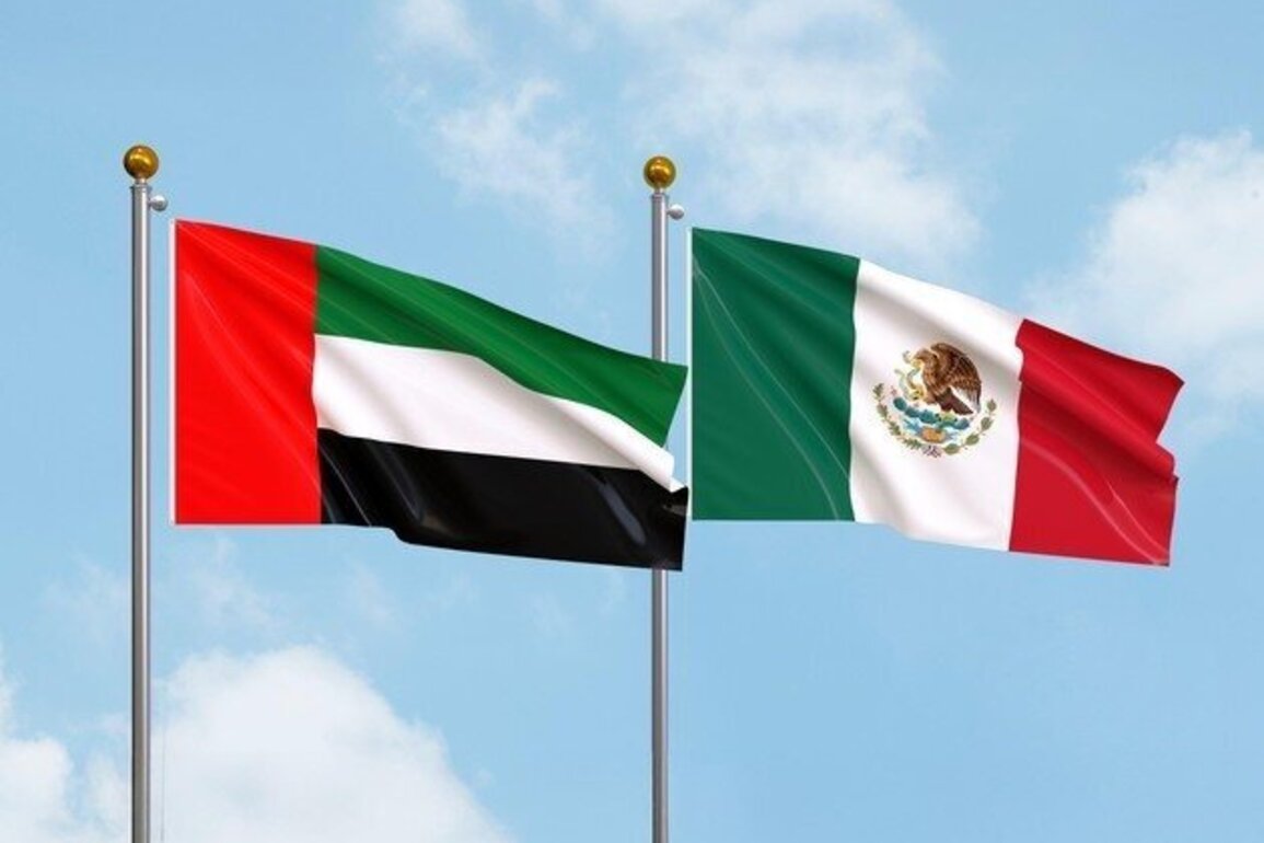 FNC discusses strengthening parliamentary cooperation with Mexican Senate