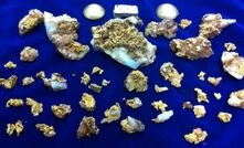 Nuggets and samples recovered from Boorara.