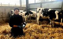  Farm vets adopt agritech for earlier disease detection on dairy farms